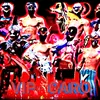 vipcarolacha