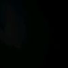 rend_02_