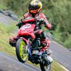 waldi_septia39