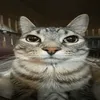 crtwar_