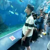 nguyenngoctuan.vn
