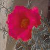 eliyeva.gunay1