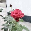 mdrifat83026