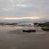 mnsahra