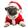 santapugg
