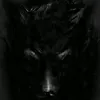 schattenwolf68686