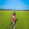 thiendistore_095