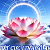 baocong123456789