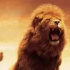animals.edits65