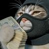 freeandi12345678910