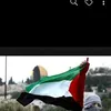 hamdiyoussef103