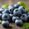 blueberry20251
