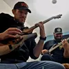 beewoy_shreds