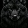 coshqun_huseynov