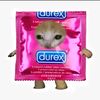 _catodurex168