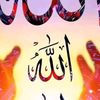 aminaarci