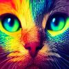 tamaroud38