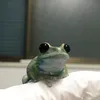 gatsude