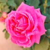 dyzk76zv5juy