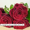 aliiqiq