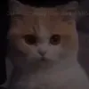 n....u...n