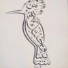 mugahed_ali