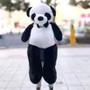 hindiy_a01