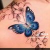 ngetoo4