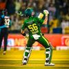 cricket.video.00998