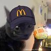 alexxhamburger