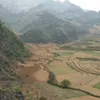 kuvhlubkon