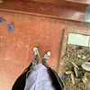 cocaibuo1