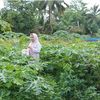 purwanti4456
