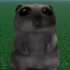 polnaiapustota