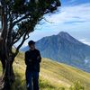 arifjuh