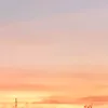 danghoangthai02