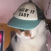 hai_cill2