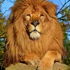 stephane83v