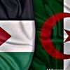 abdelnour.mhamdi