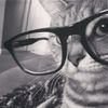 _ismezel478