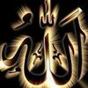 ghadafathy108