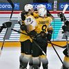 severstal_fan_