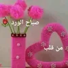 fatihaberkaniya