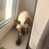 merzky_trip