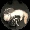vuuuyvid