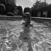 nicahaarpiveaccount