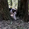 mait.suki