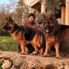 omar1982252625