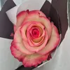 sarahmfj41319