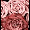 toujourslesourire123